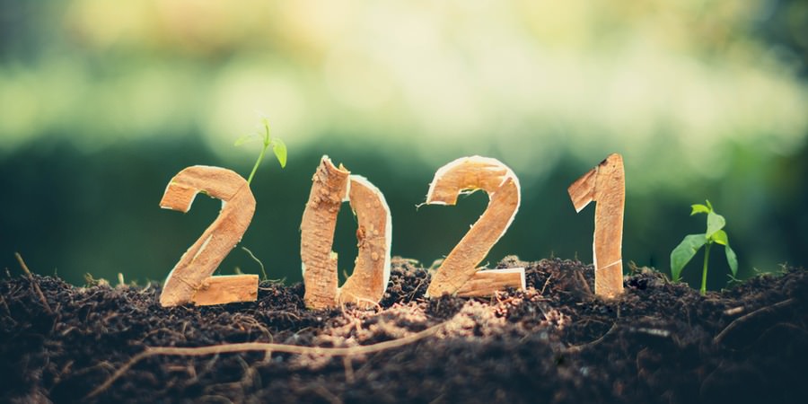 Lire la suite à propos de l’article VŒUX 2021
