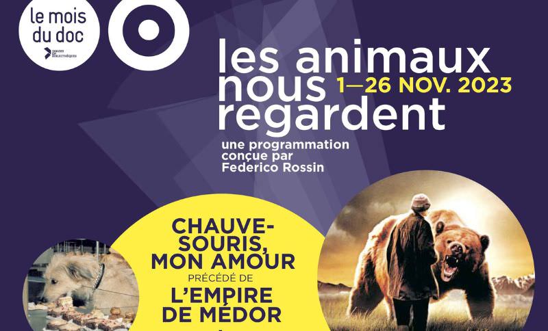 Lire la suite à propos de l’article Le Mois du Film Doc : les animaux nous regardent