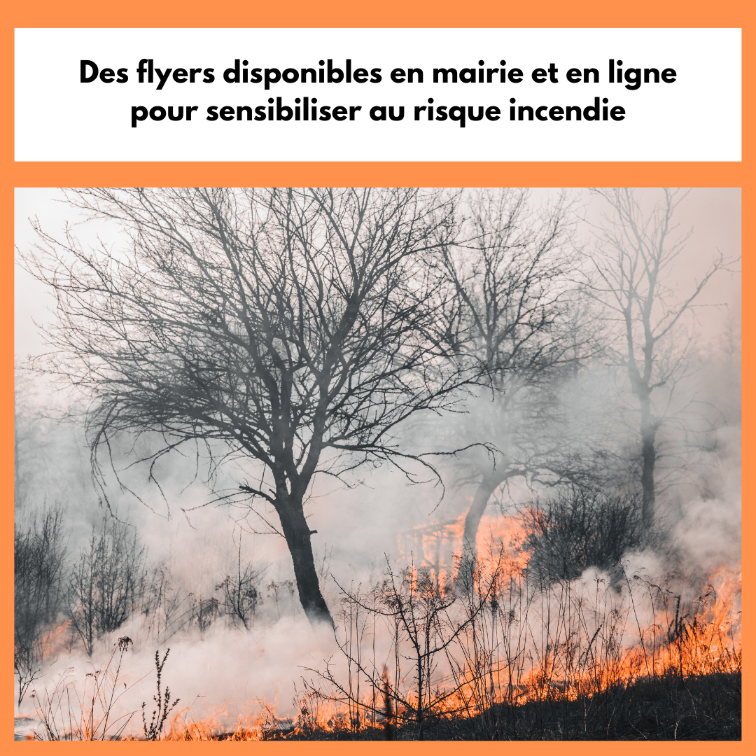 Lire la suite à propos de l’article // RISQUE D’INCENDIES – S’INFORMER POUR LES ÉVITER //