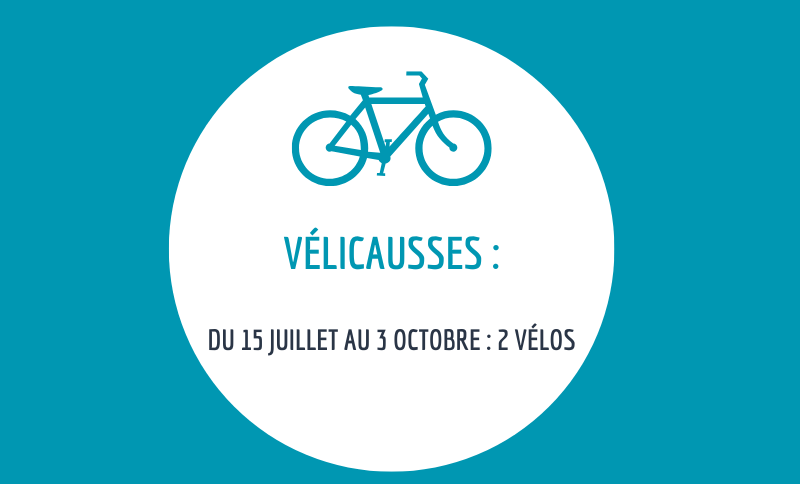 Lire la suite à propos de l’article // VÉLICAUSSE – DISPONIBILITÉS 2025 //